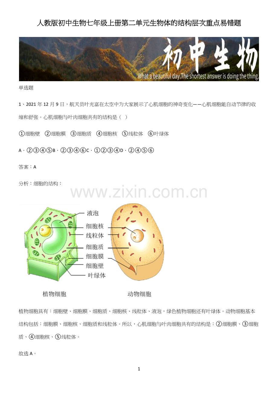 人教版初中生物七年级上册第二单元生物体的结构层次重点易错题.docx_第1页