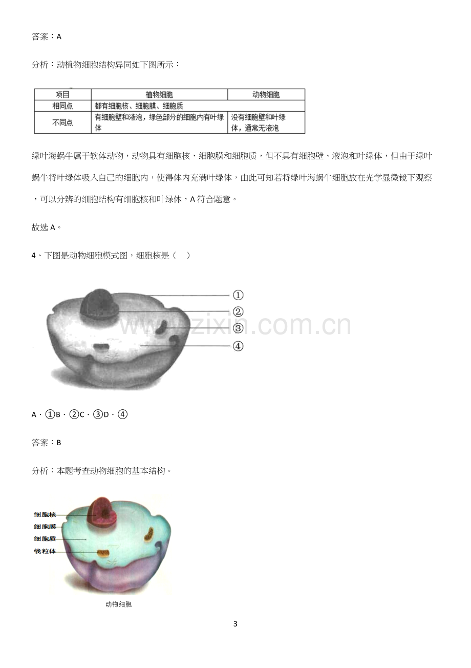 人教版初中生物七年级上册第二单元生物体的结构层次重点易错题.docx_第3页