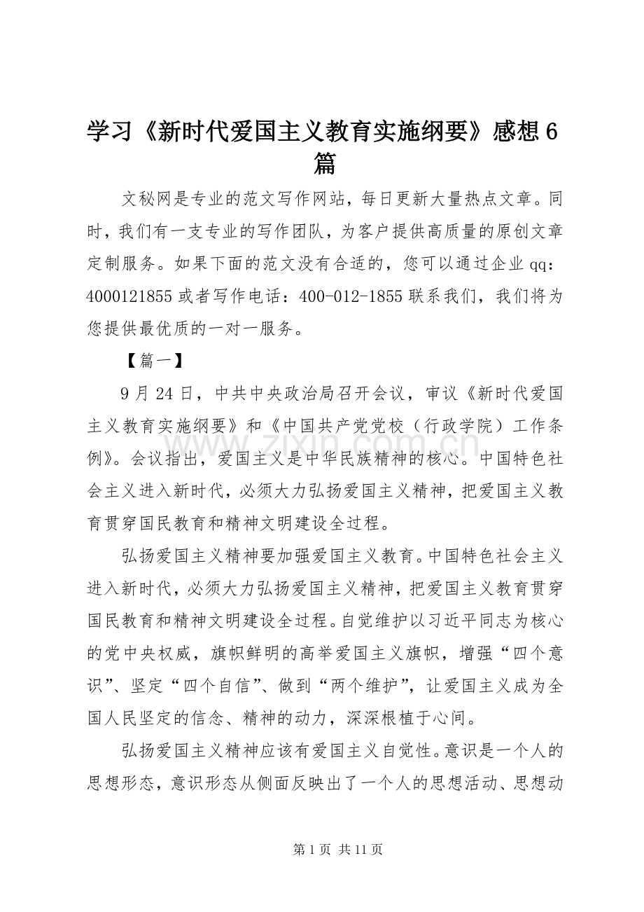 学习《新时代爱国主义教育实施纲要》感想6篇.docx_第1页