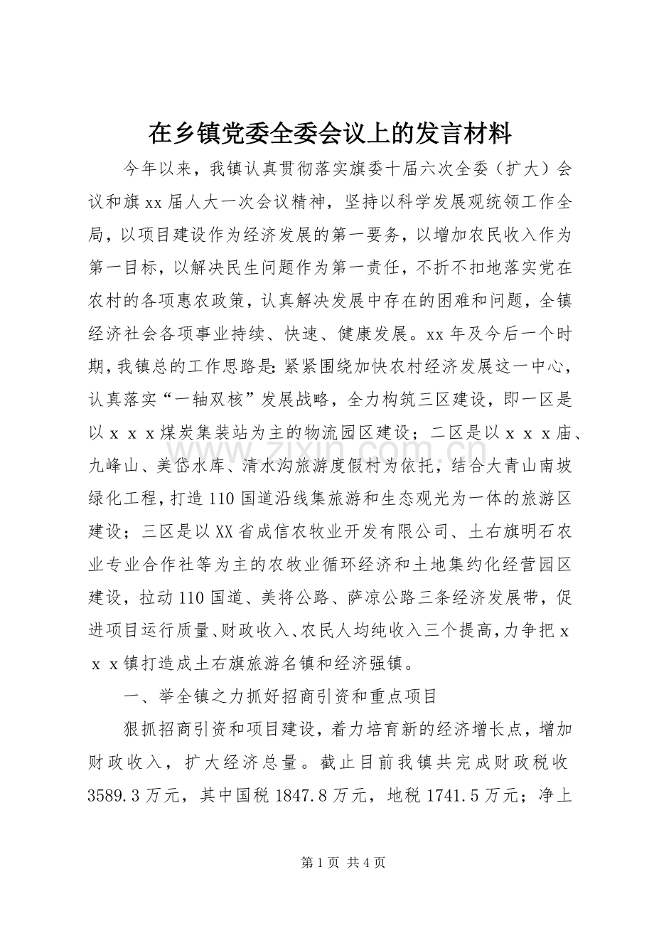 在乡镇党委全委会议上的发言材料.docx_第1页