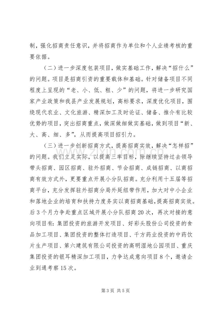 局长在招商引资督查会议发言.docx_第3页