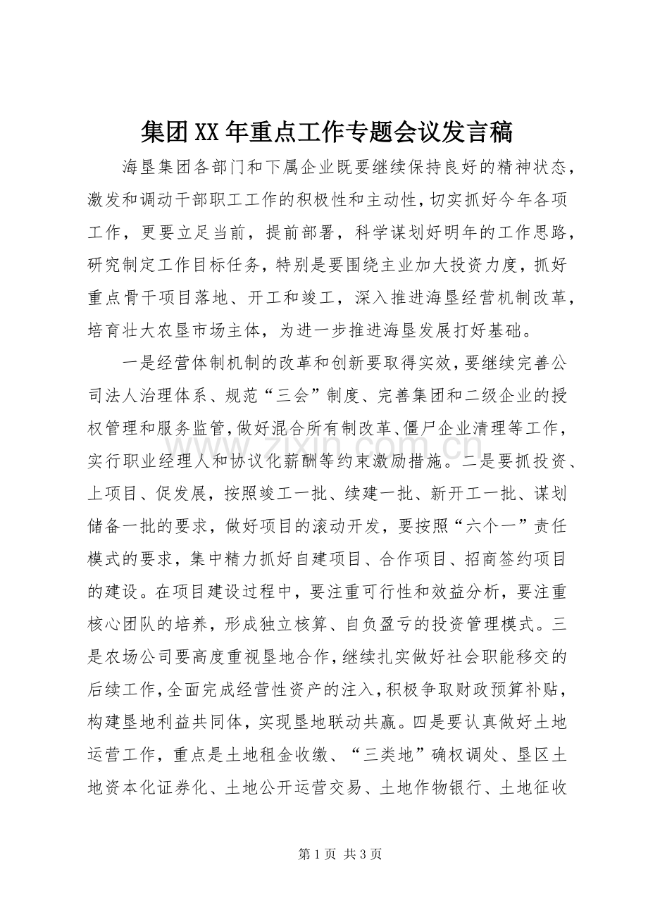 集团XX年重点工作专题会议发言稿.docx_第1页