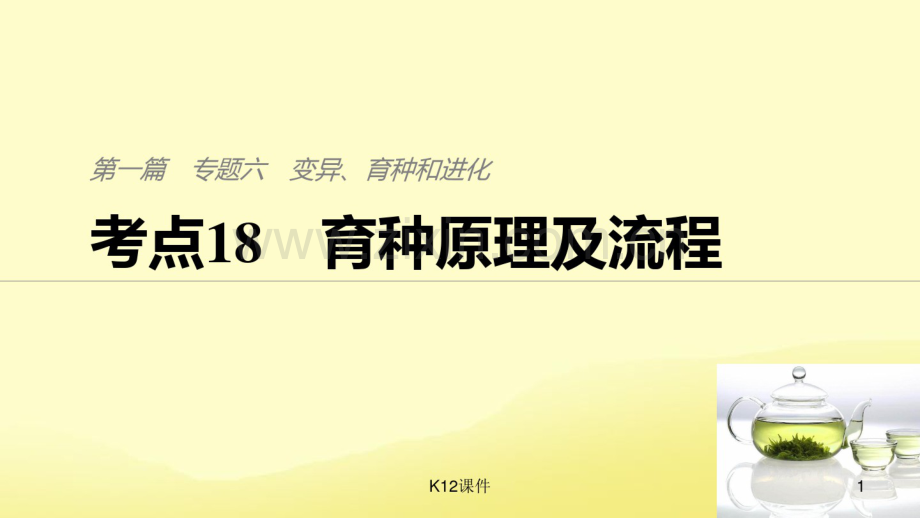 2019版高考生物二轮复习专题六变异、育种和进化考点18育种原理及流程.pdf_第1页