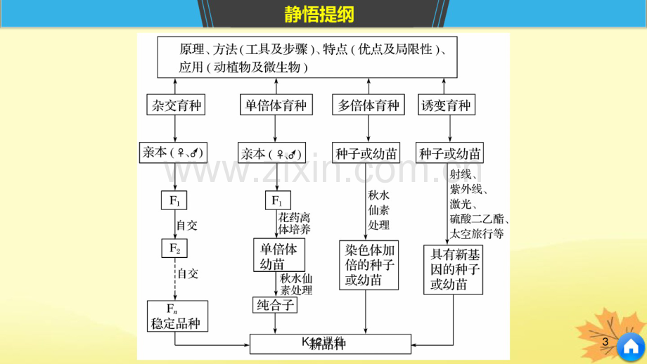 2019版高考生物二轮复习专题六变异、育种和进化考点18育种原理及流程.pdf_第3页