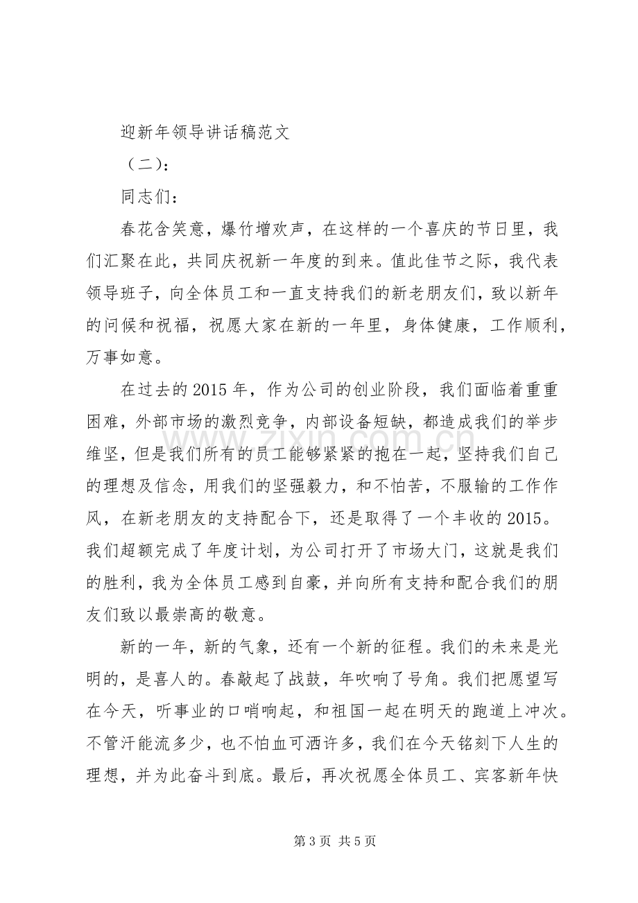 迎新年领导讲话稿.docx_第3页