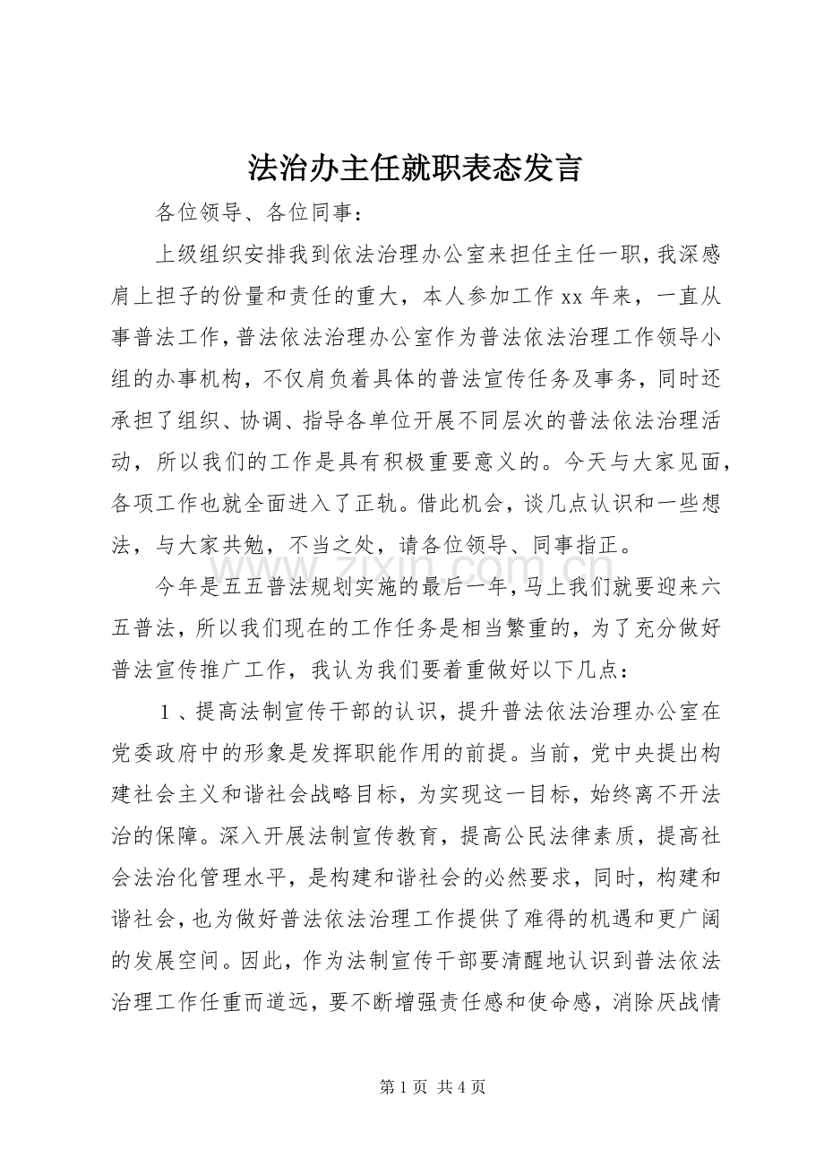 法治办主任就职表态发言.docx_第1页