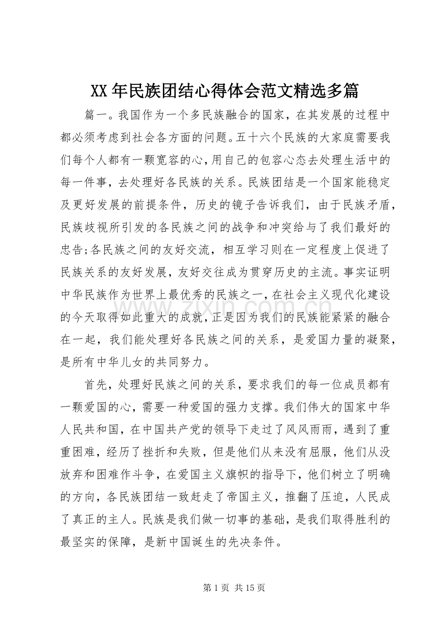 XX年民族团结心得体会范文多篇.docx_第1页