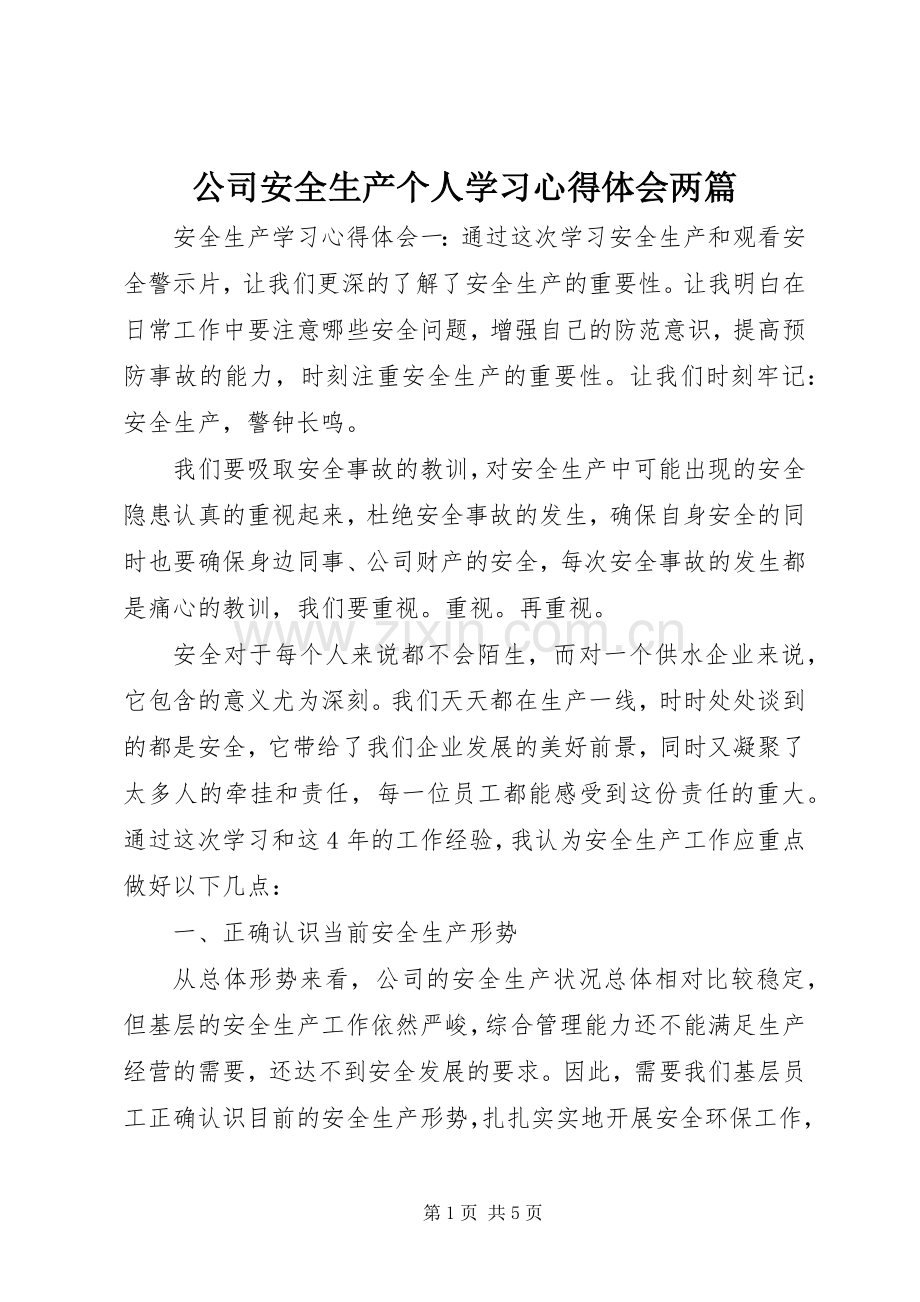 公司安全生产个人学习心得体会两篇.docx_第1页