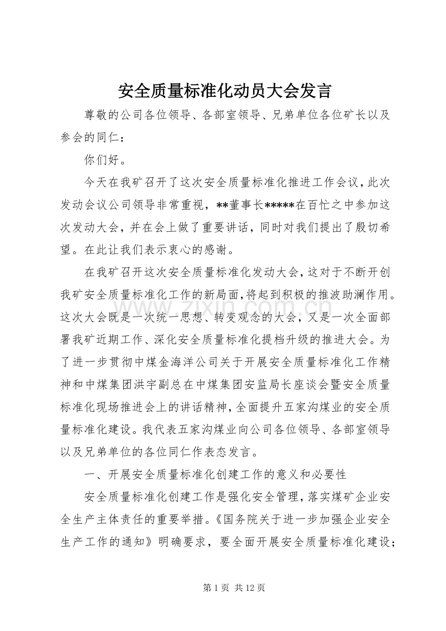 安全质量标准化动员大会发言.docx_第1页