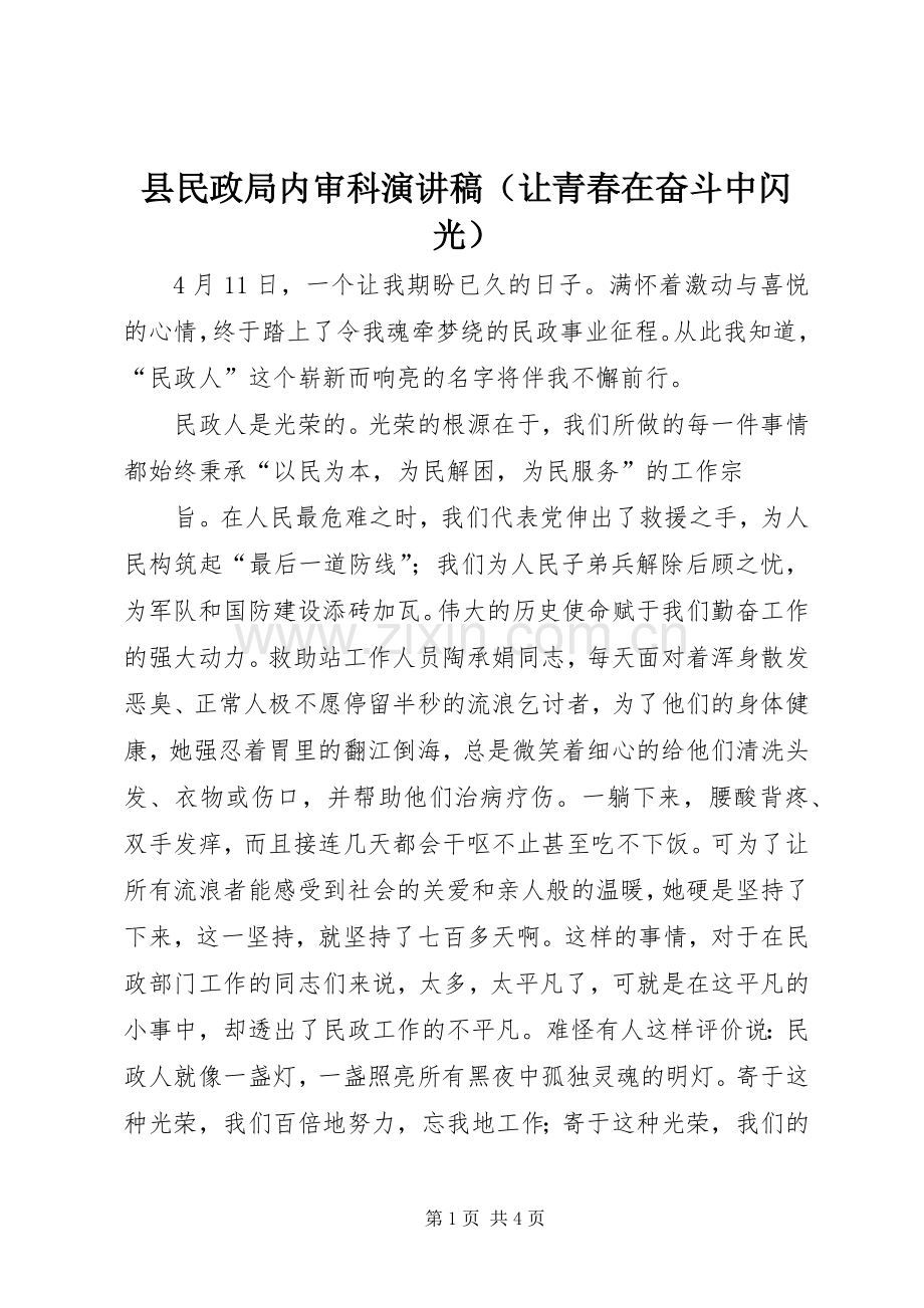 县民政局内审科演讲稿（让青春在奋斗中闪光）.docx_第1页