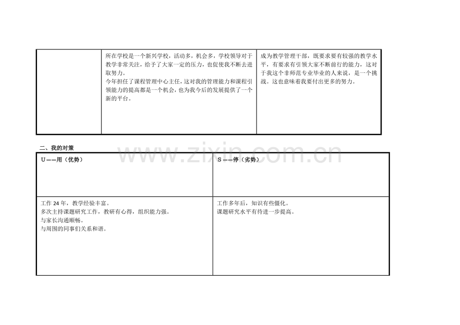 湖北武汉东湖高新区罗晖：个人自我诊断SWOT分析表.doc_第2页