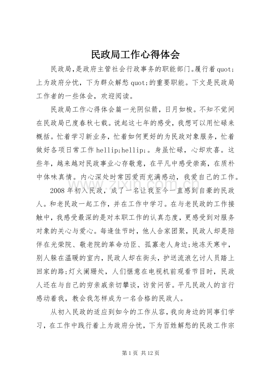 民政局工作心得体会.docx_第1页