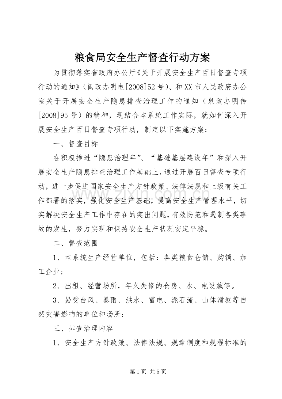 粮食局安全生产督查行动实施方案.docx_第1页