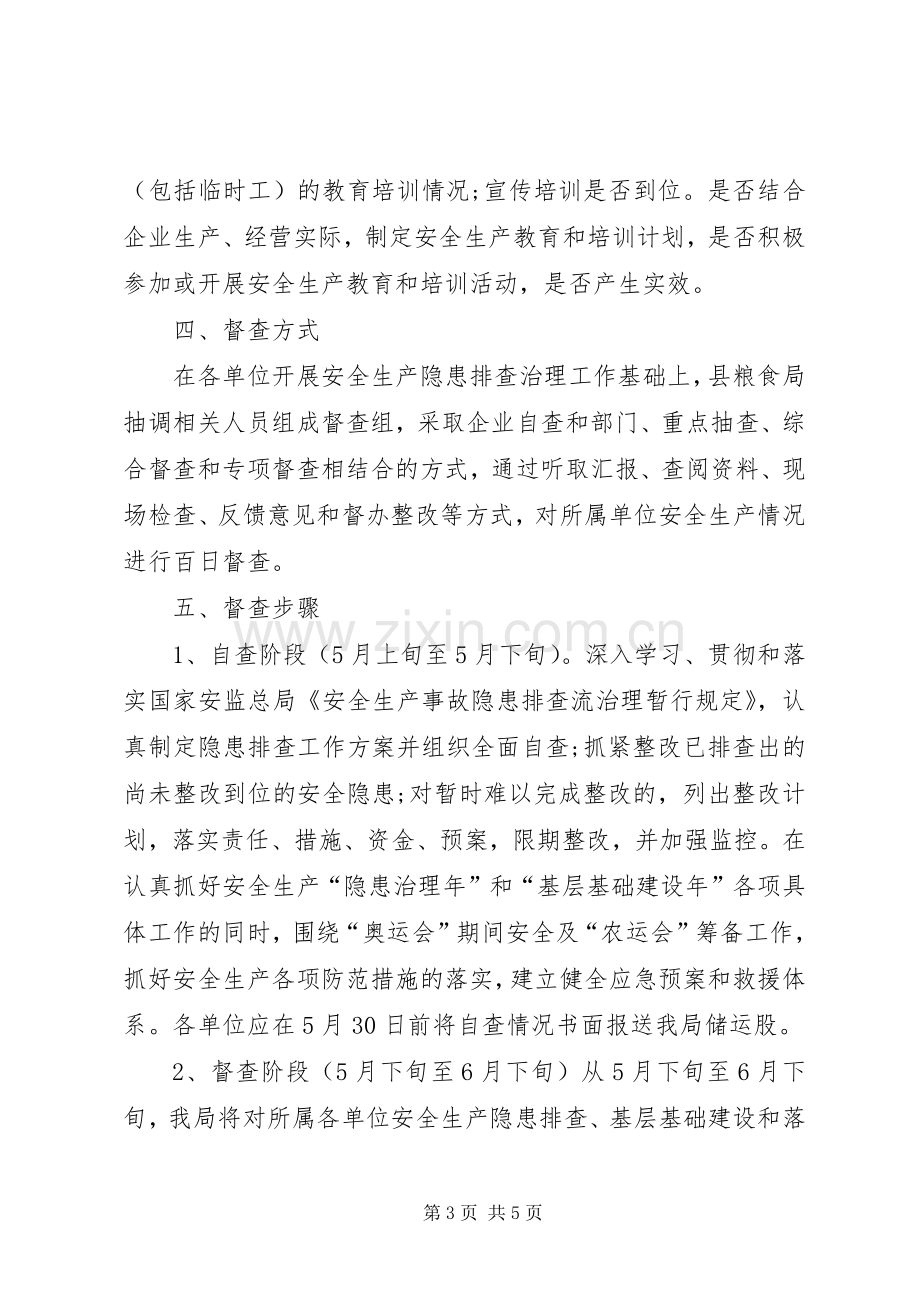 粮食局安全生产督查行动实施方案.docx_第3页