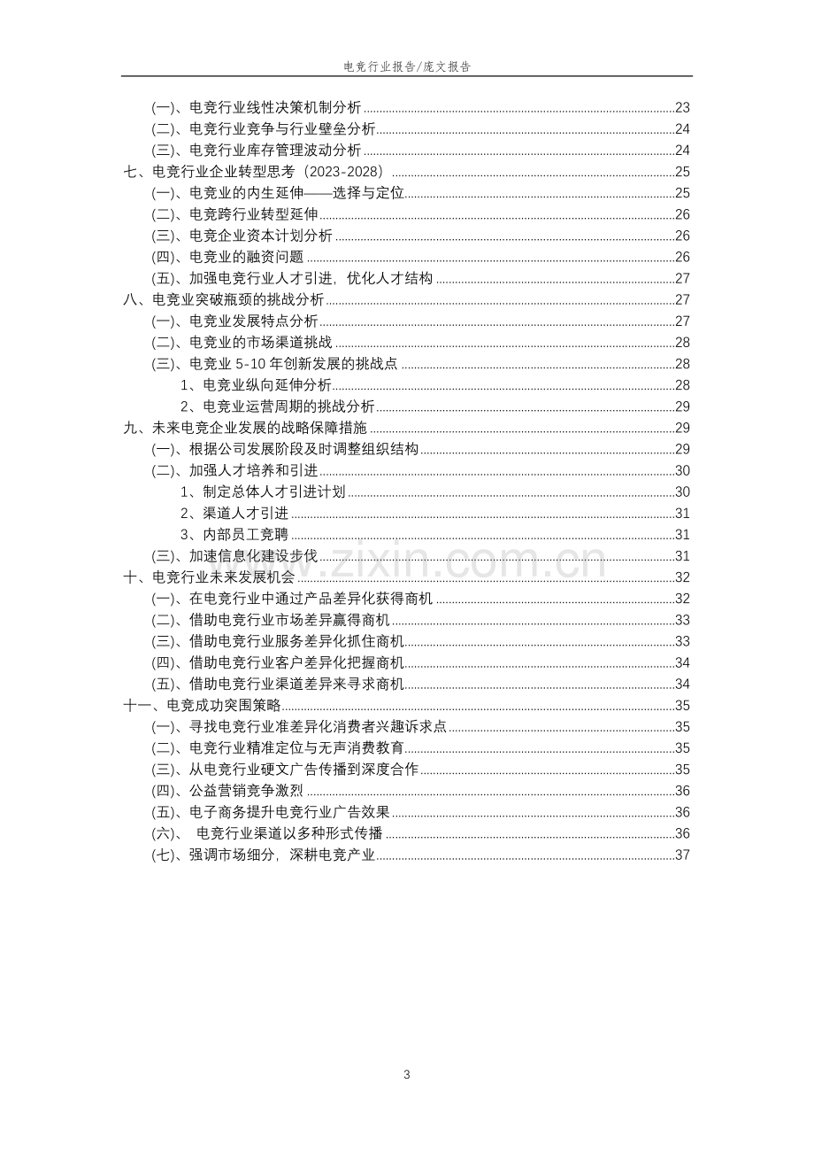 2023年电竞行业分析报告及未来五至十年行业发展报告.doc_第3页