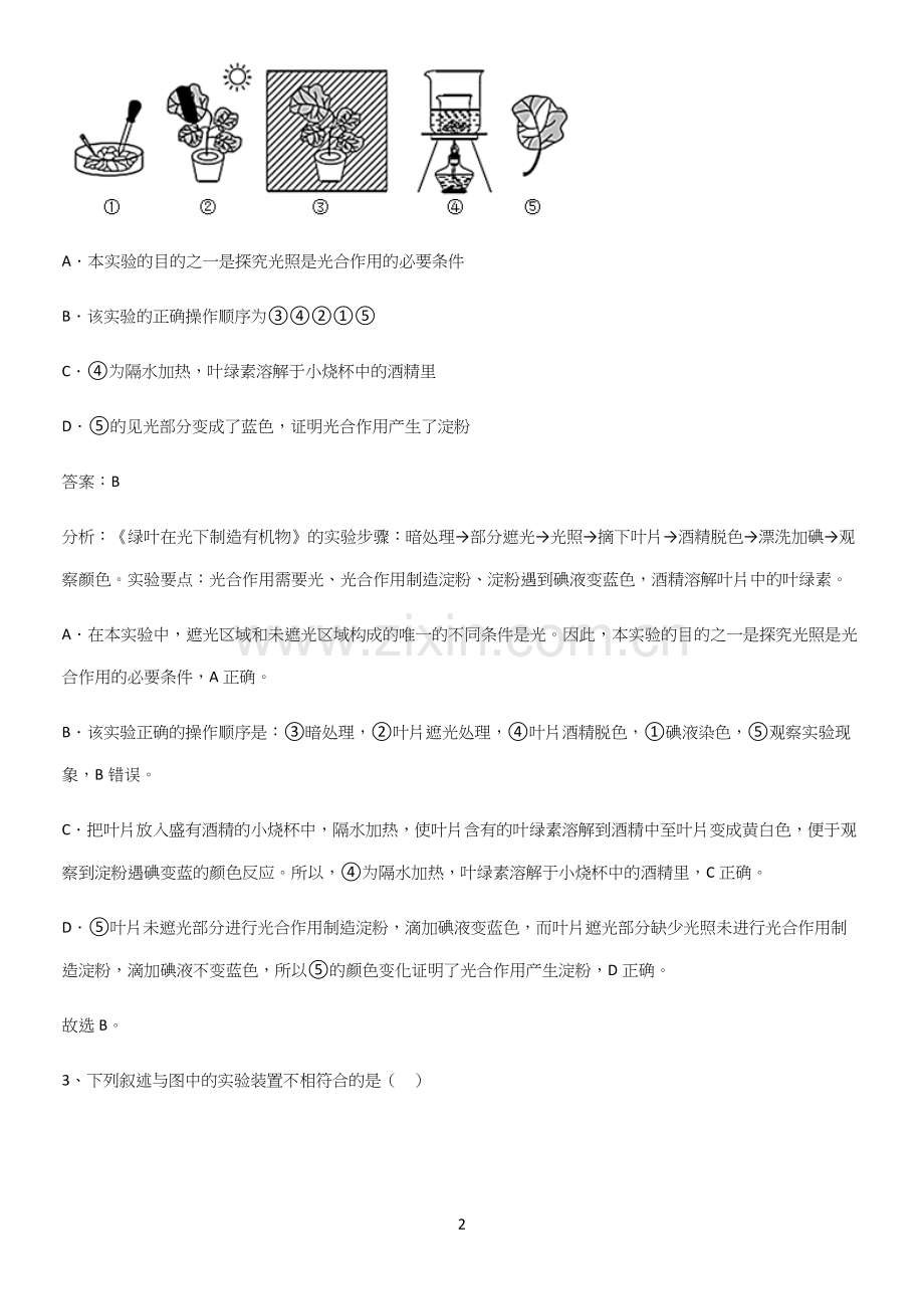 通用版初中生物七年级上册第三单元生物圈中的绿色植物重难点归纳-(2).docx_第2页