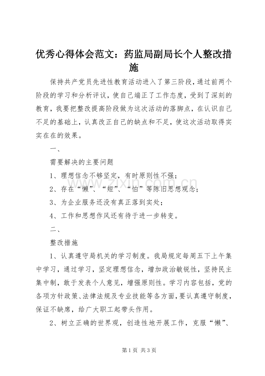 优秀心得体会范文：药监局副局长个人整改措施.docx_第1页