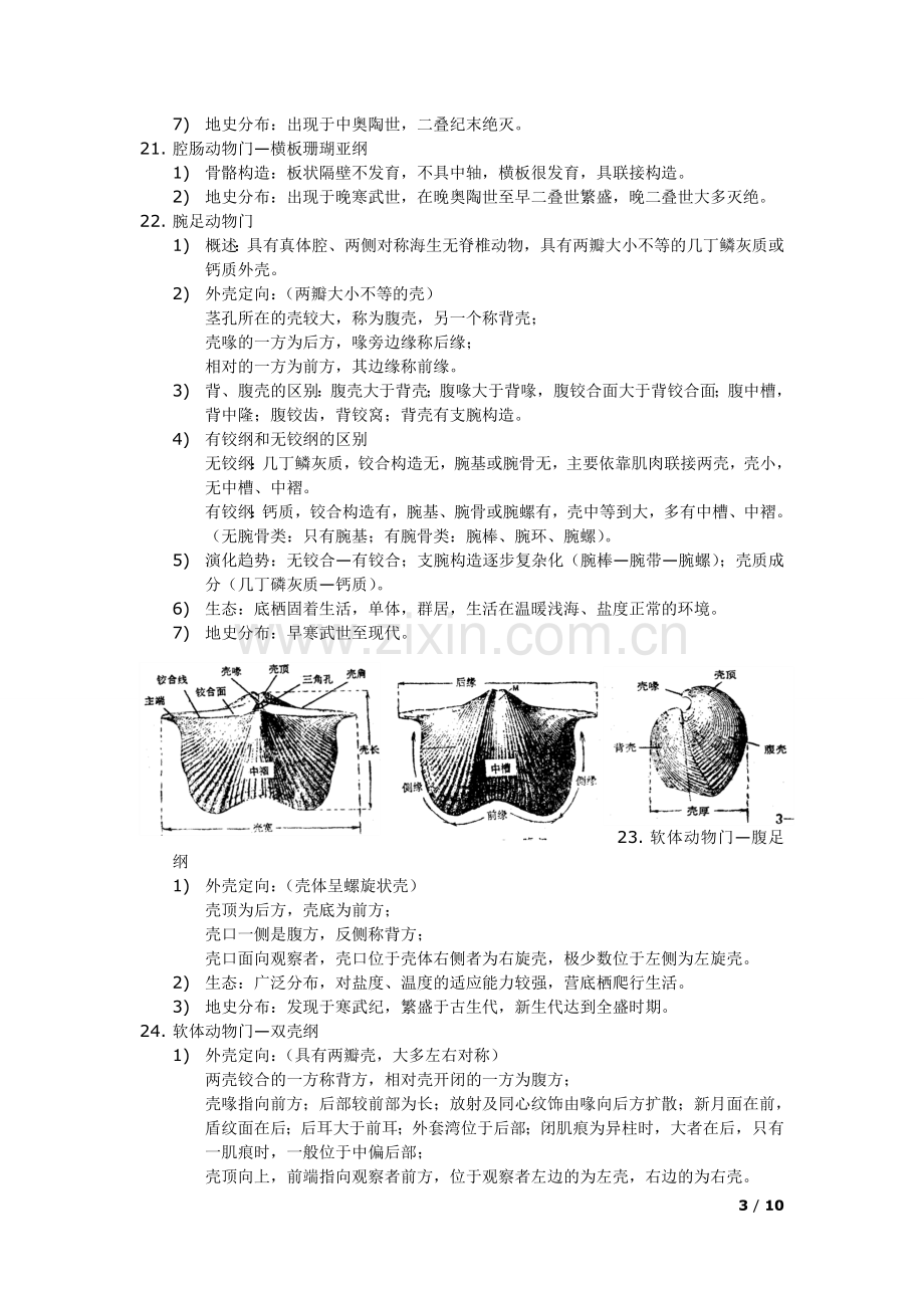 古生物学与地层学复习概要.doc_第3页