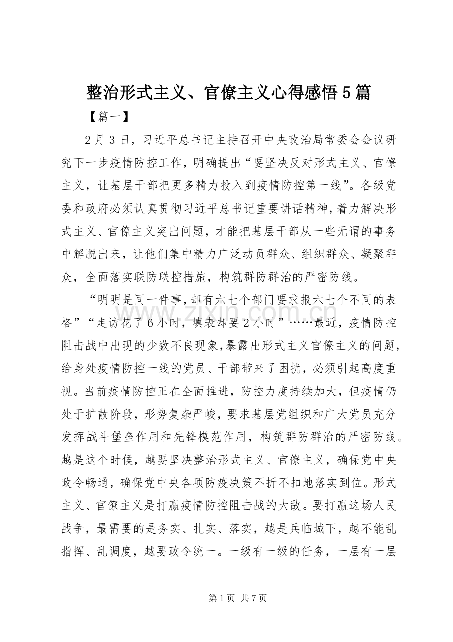 整治形式主义、官僚主义心得感悟5篇.docx_第1页