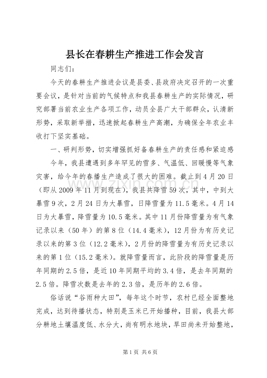 县长在春耕生产推进工作会发言.docx_第1页