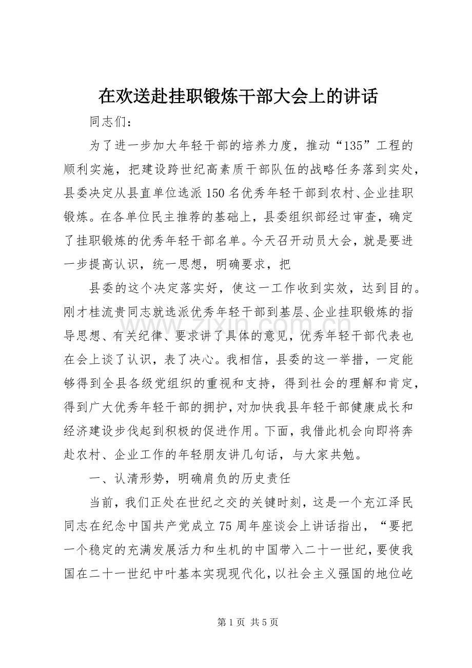 在欢送赴挂职锻炼干部大会上的讲话.docx_第1页