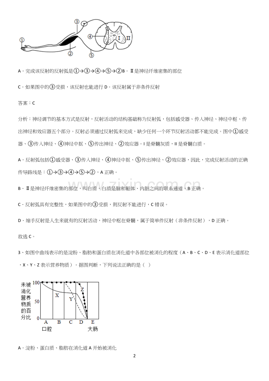 人教版2023初中生物七年级下册第四单元生物圈中的人知识汇总笔记.docx_第2页