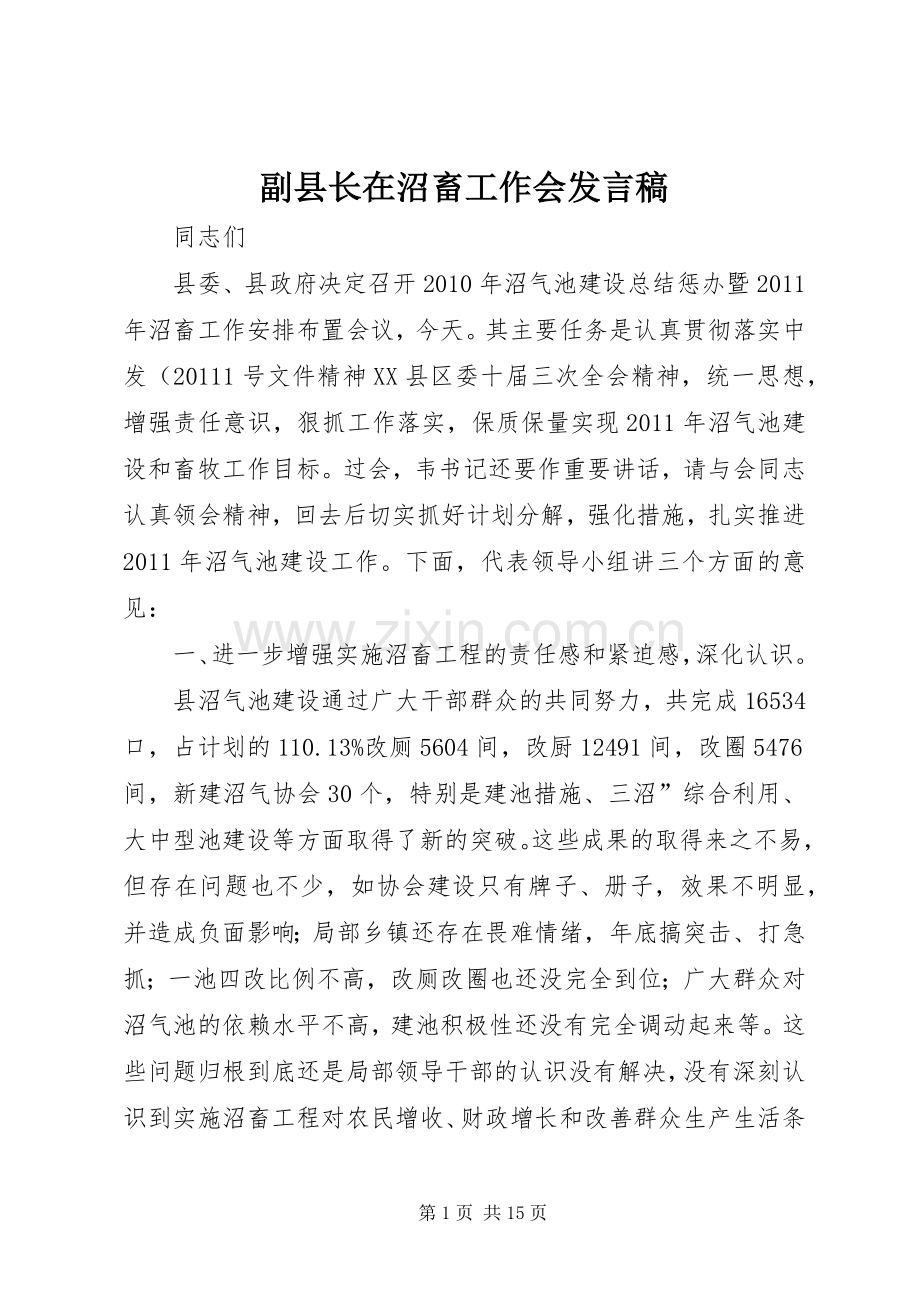 副县长在沼畜工作会发言稿.docx_第1页