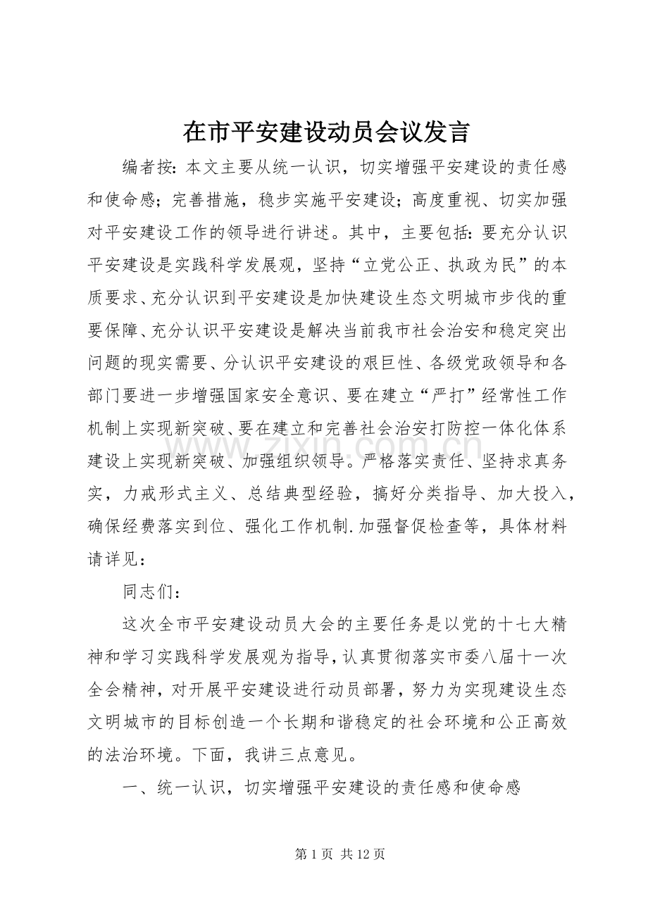 在市平安建设动员会议发言.docx_第1页