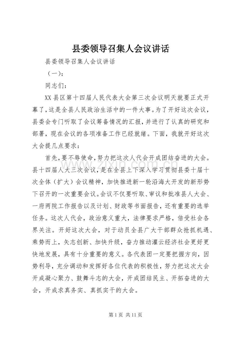 县委领导召集人会议讲话.docx_第1页