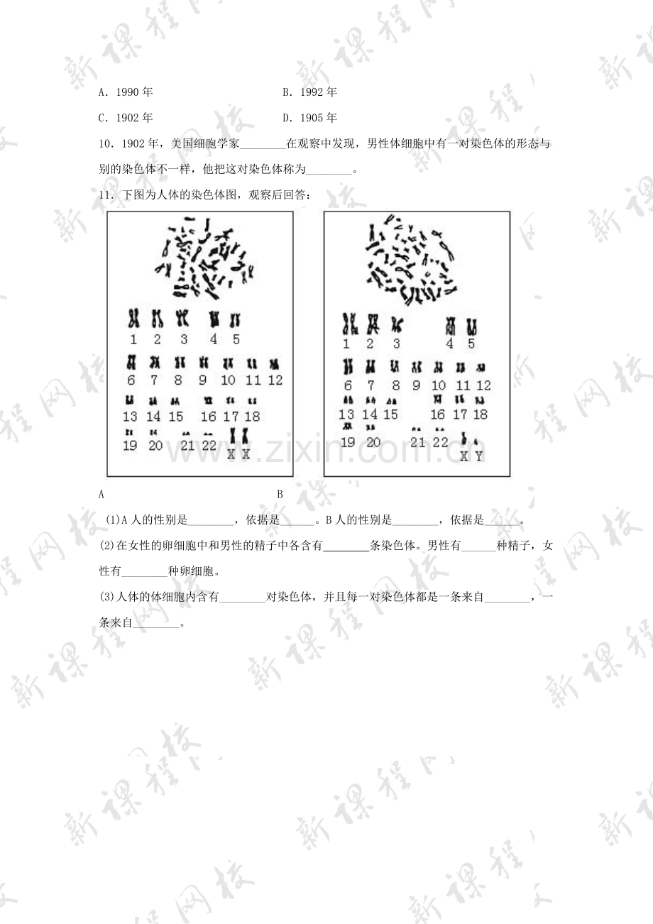 《第四节-人的性别遗传》同步练习.doc_第2页