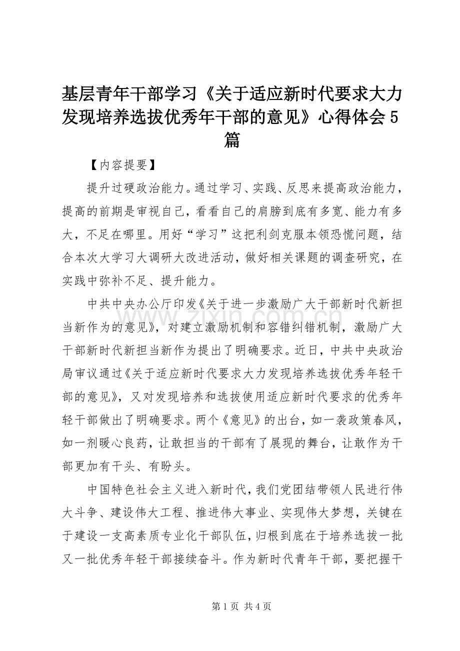 基层青年干部学习《关于适应新时代要求大力发现培养选拔优秀年干部的意见》心得体会5篇.docx_第1页