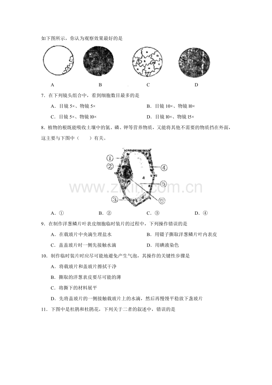 初一生物期中试题.doc_第2页