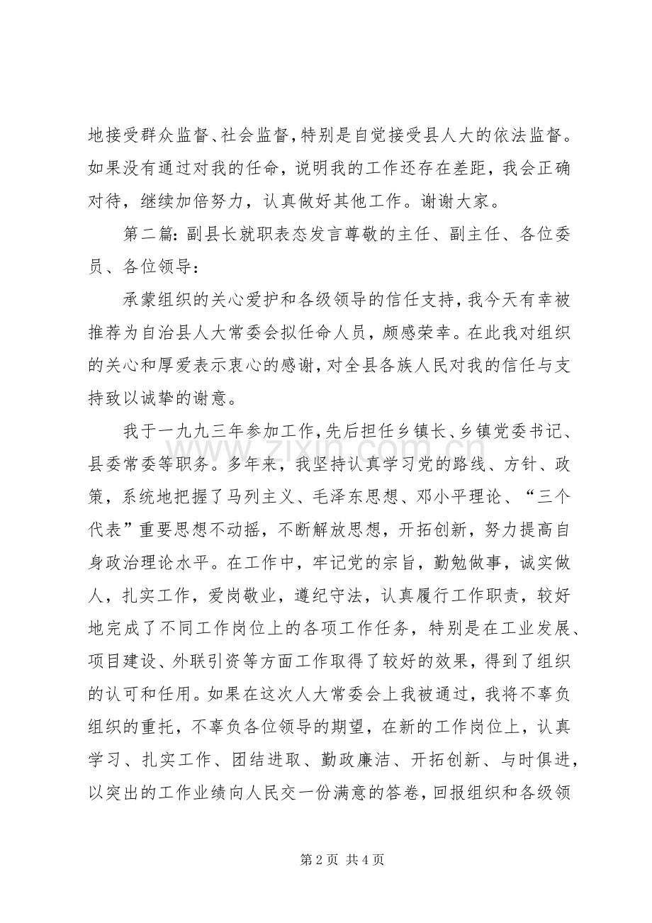 副县长履职表态发言.docx_第2页