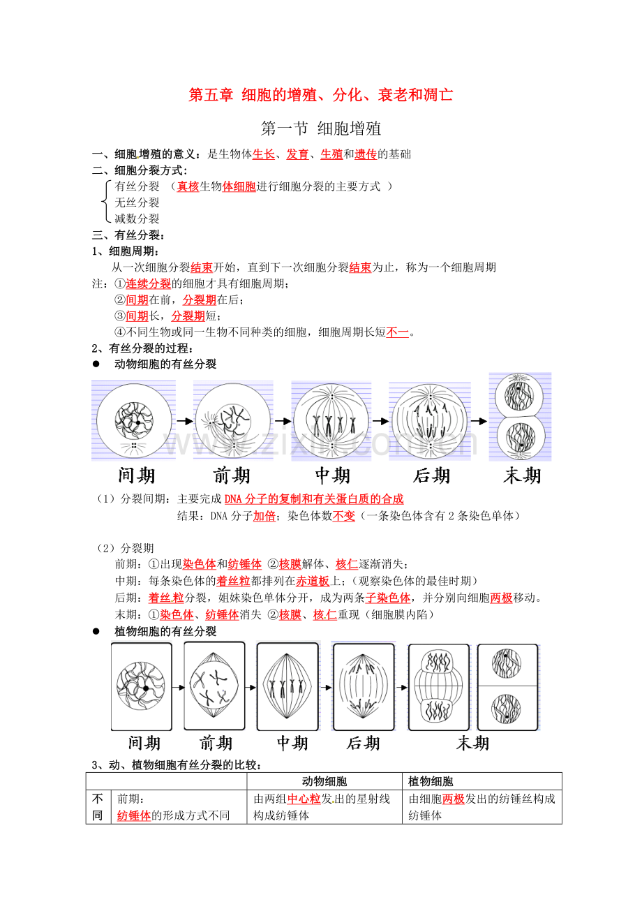 高中生物复习提纲：第五章《细胞的增殖、分化、衰老和凋亡》苏教版必修1.doc_第1页