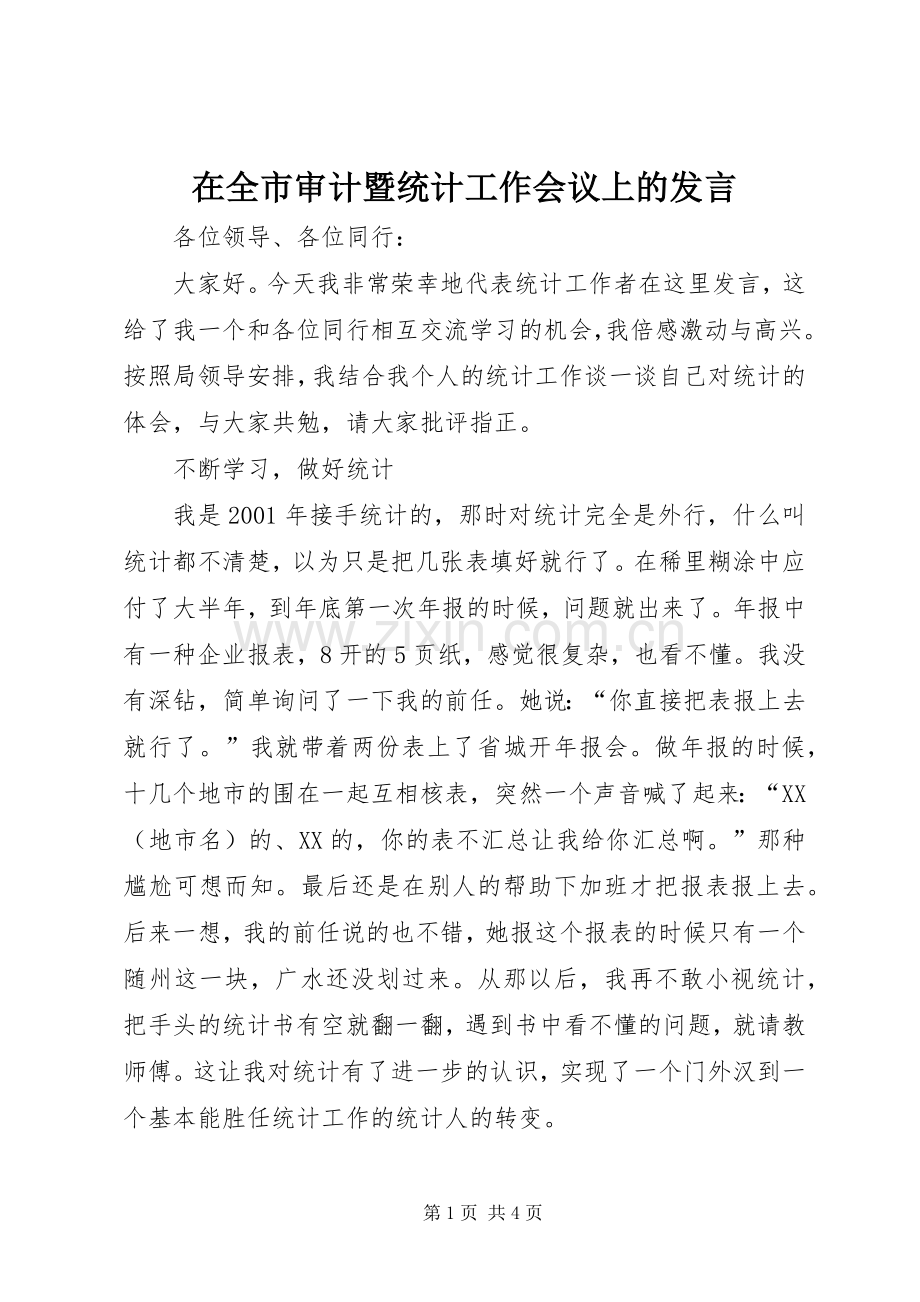 在全市审计暨统计工作会议上的发言.docx_第1页