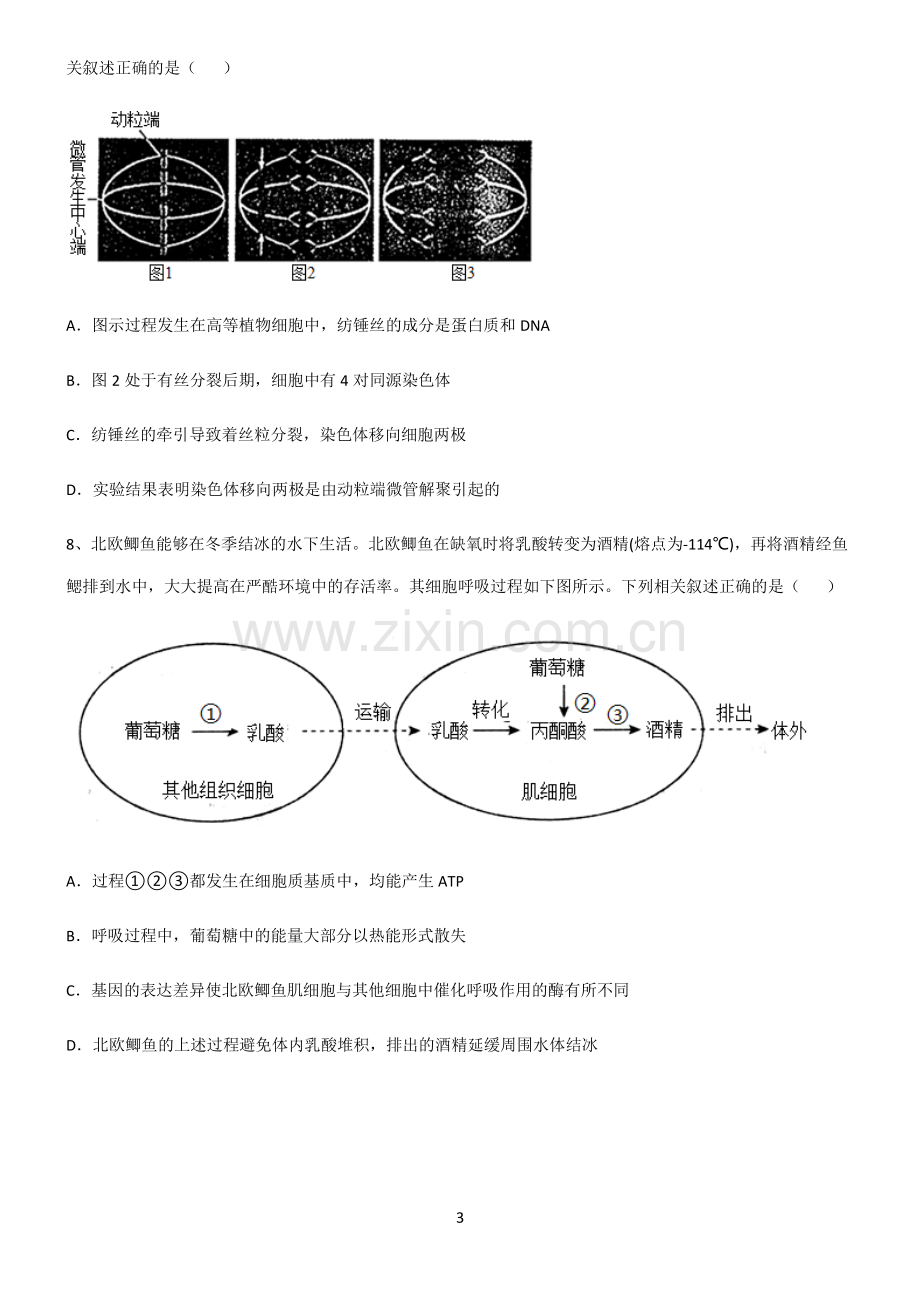 (文末附答案)人教版2022年高中生物细胞的生命历程常考点.pdf_第3页