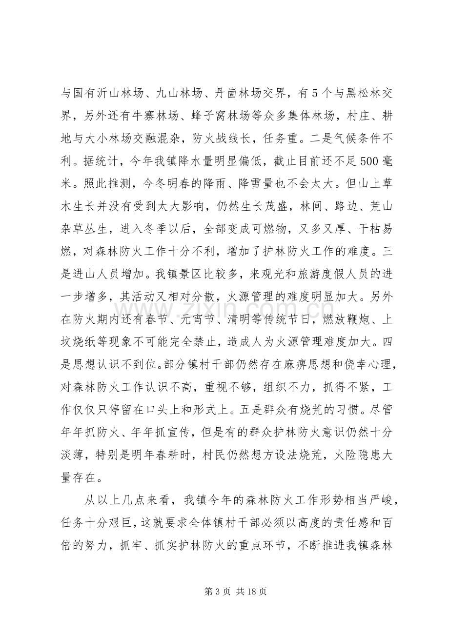 全镇森林防火工作会议上的讲话.docx_第3页