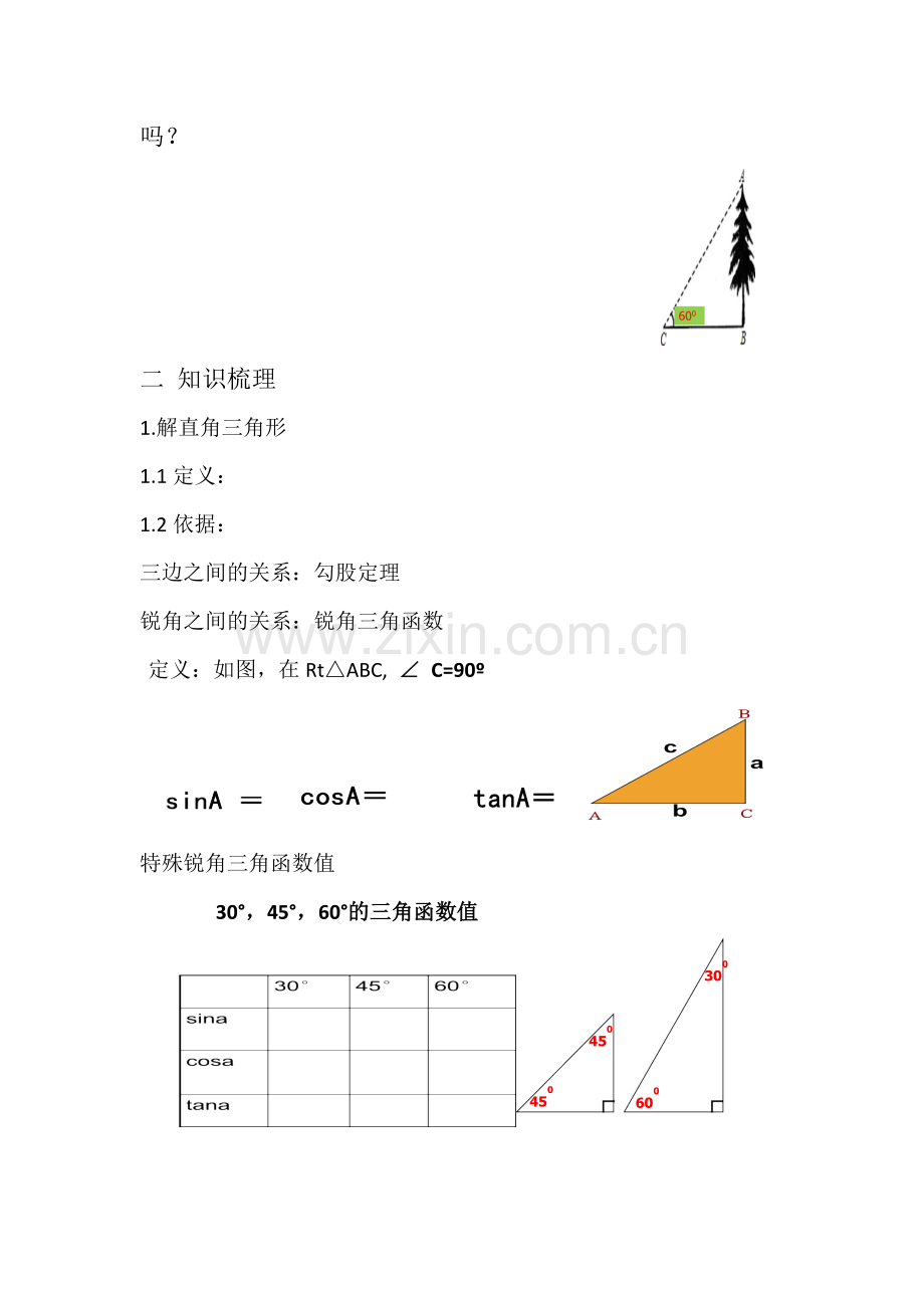 《解直角三角形》复习课教案.doc_第2页