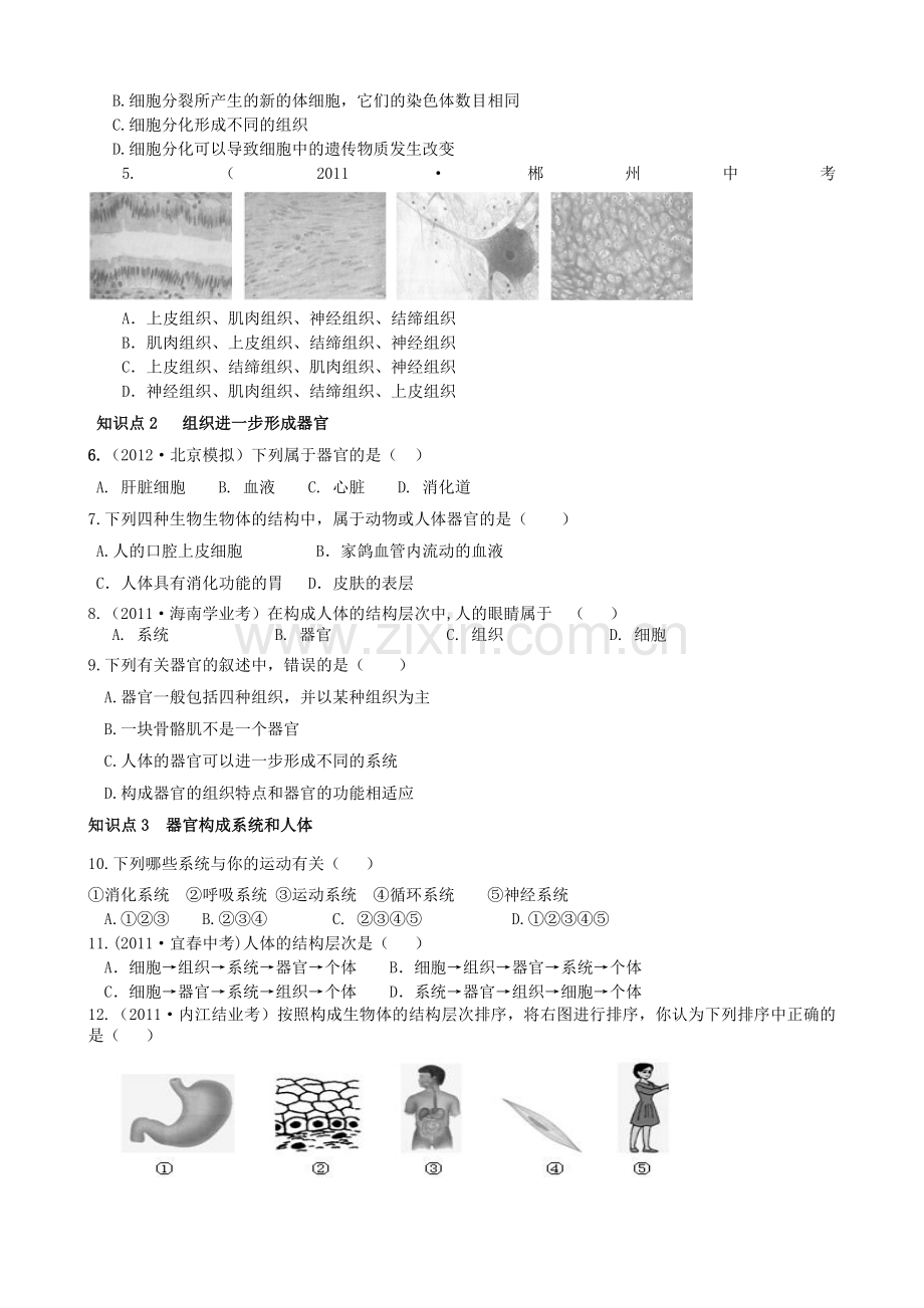 七年级生物上册-2.2《动物体的结构层次》智能导学-新人教版.doc_第2页