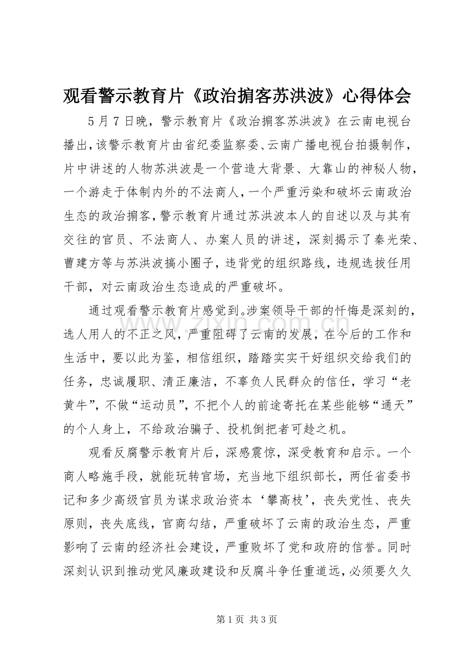 观看警示教育片《政治掮客苏洪波》心得体会.docx_第1页