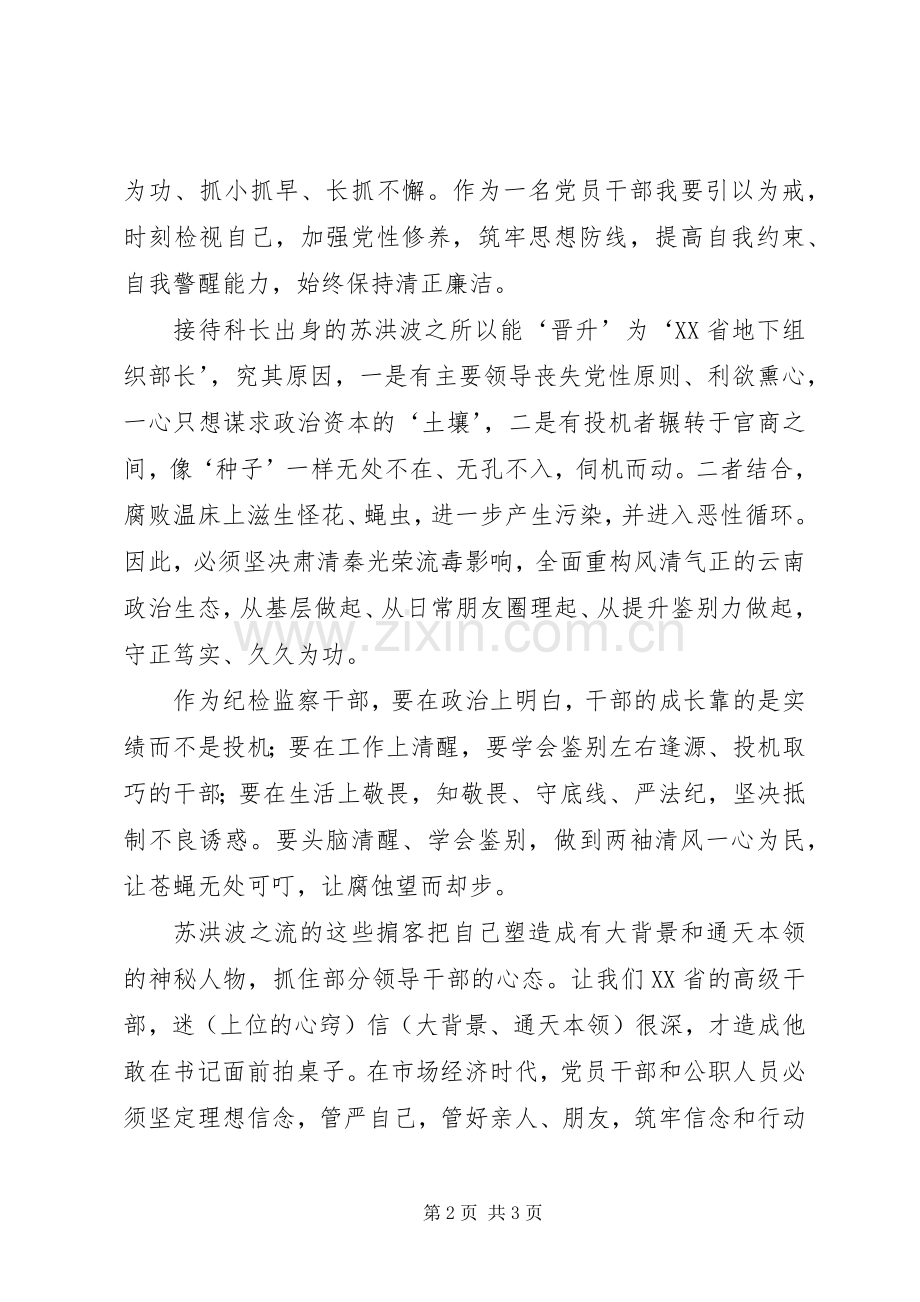 观看警示教育片《政治掮客苏洪波》心得体会.docx_第2页