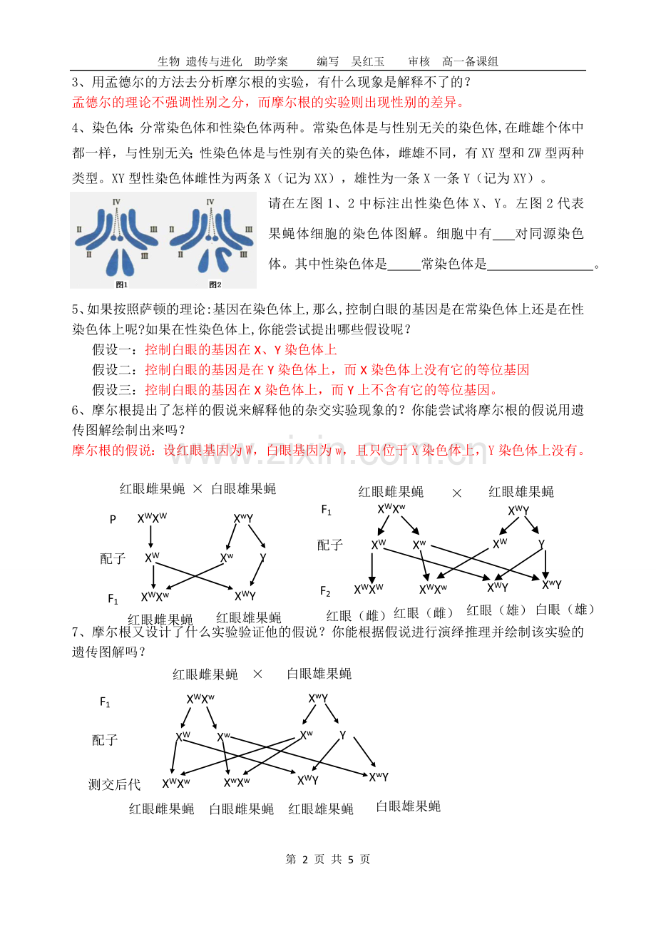 南通市二中高一生物助学案：基因在染色体上.doc_第2页