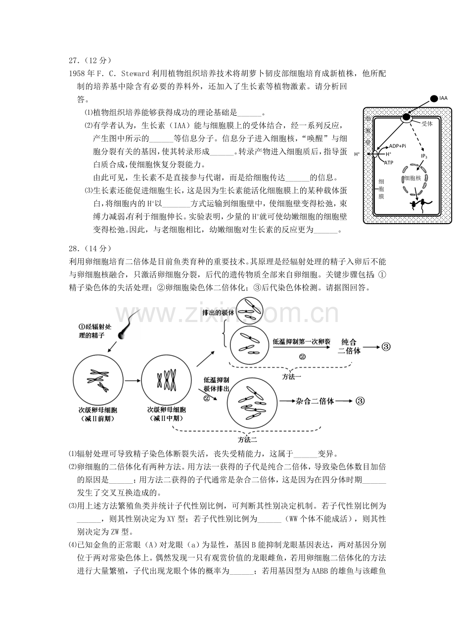 高考理综模拟试题(生物部分)新人教版.doc_第3页