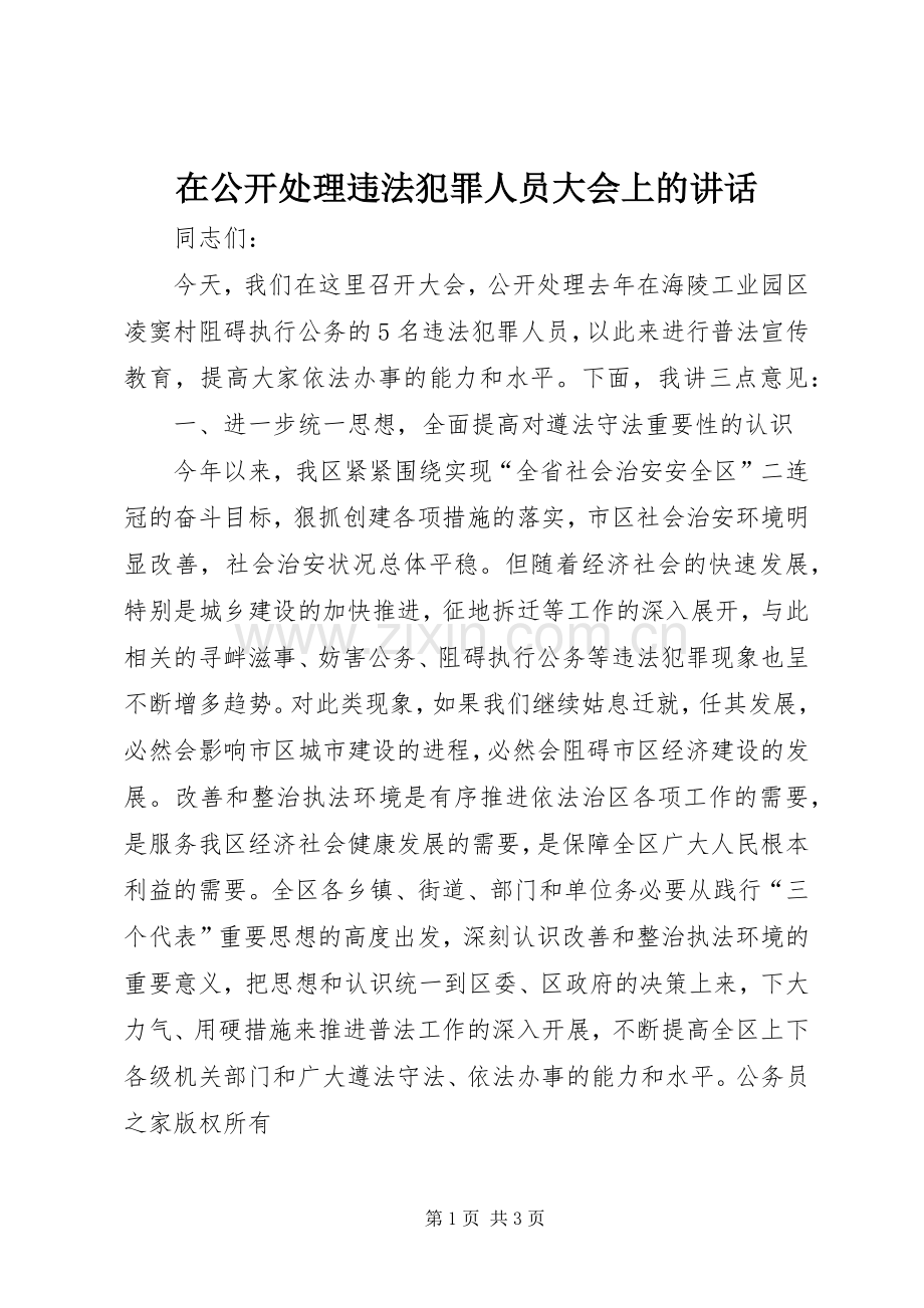 在公开处理违法犯罪人员大会上的讲话.docx_第1页