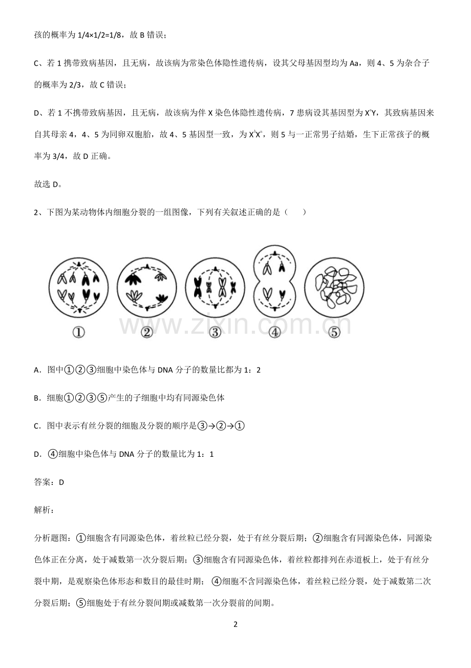 人教版高中生物必修二基因和染色体的关系易混淆知识点.pdf_第2页