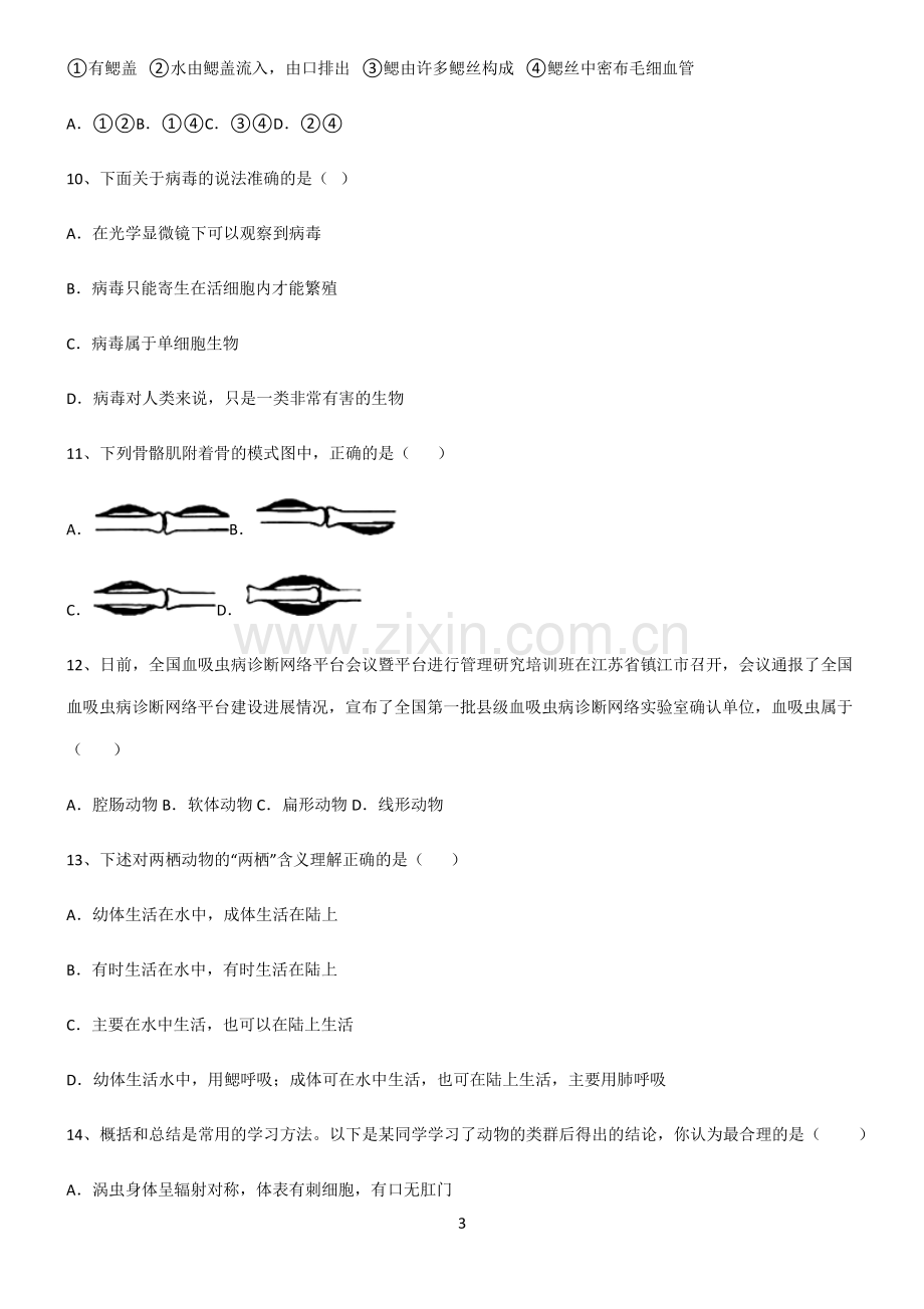 (文末附答案)2022届初中生物生物圈中的其他生物知识点归纳总结.pdf_第3页