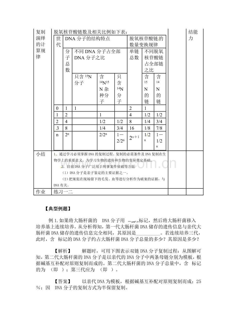 《3-3-DNA的复制》教学案2.doc_第3页