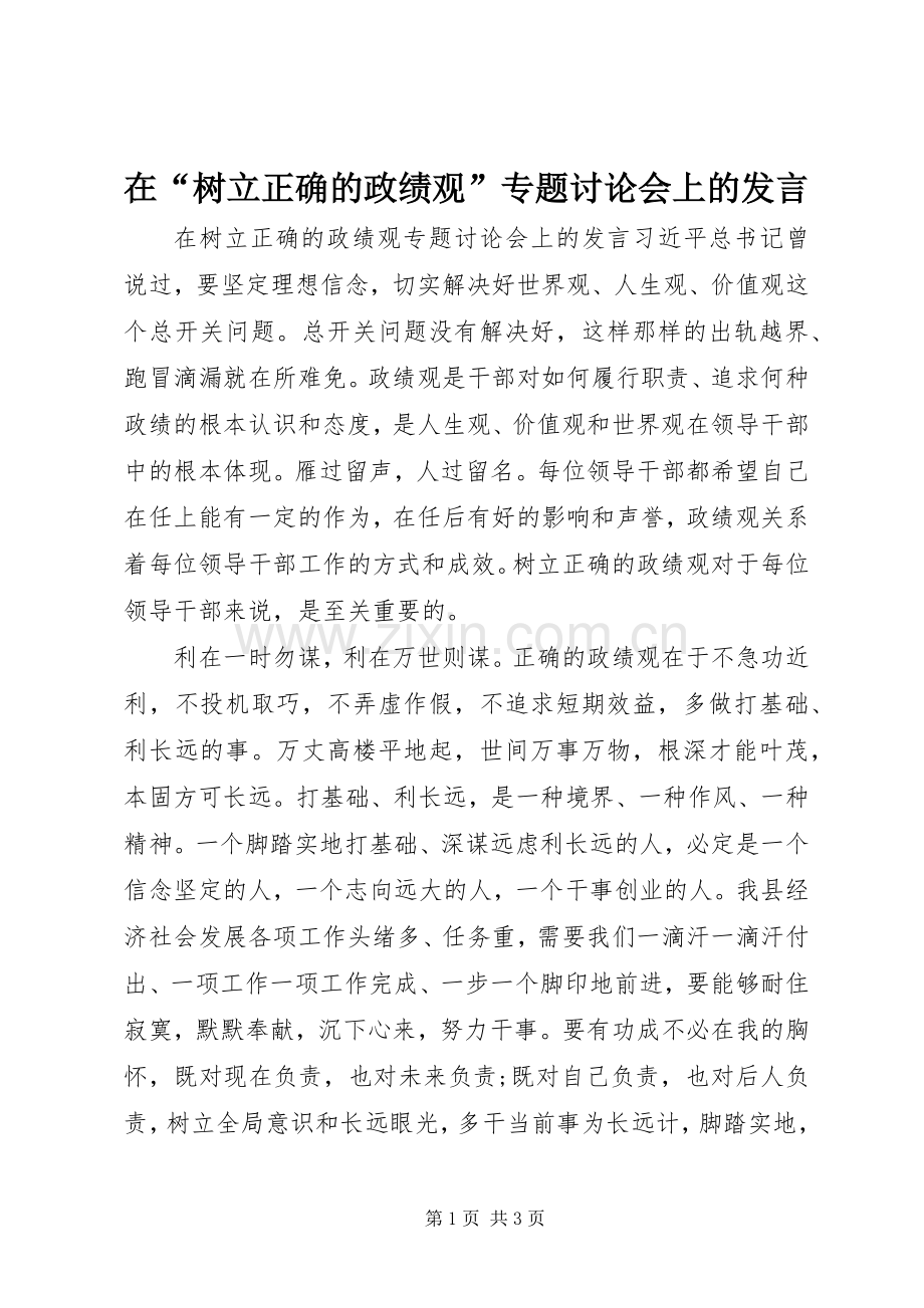 在“树立正确的政绩观”专题讨论会上的发言.docx_第1页