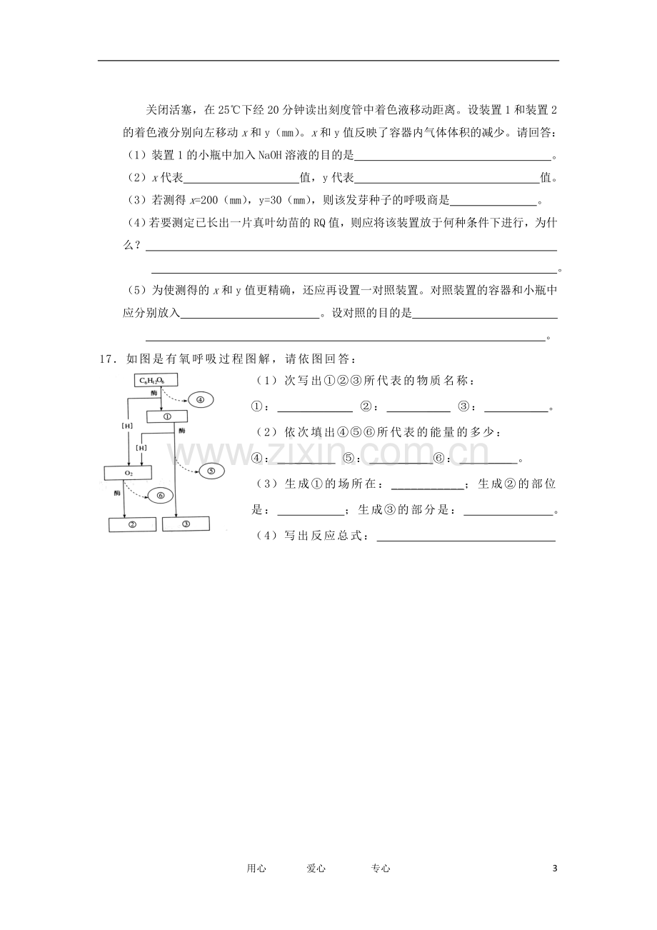 2012高一生物-3.4细胞呼吸32每课一练-浙科版必修1.doc_第3页