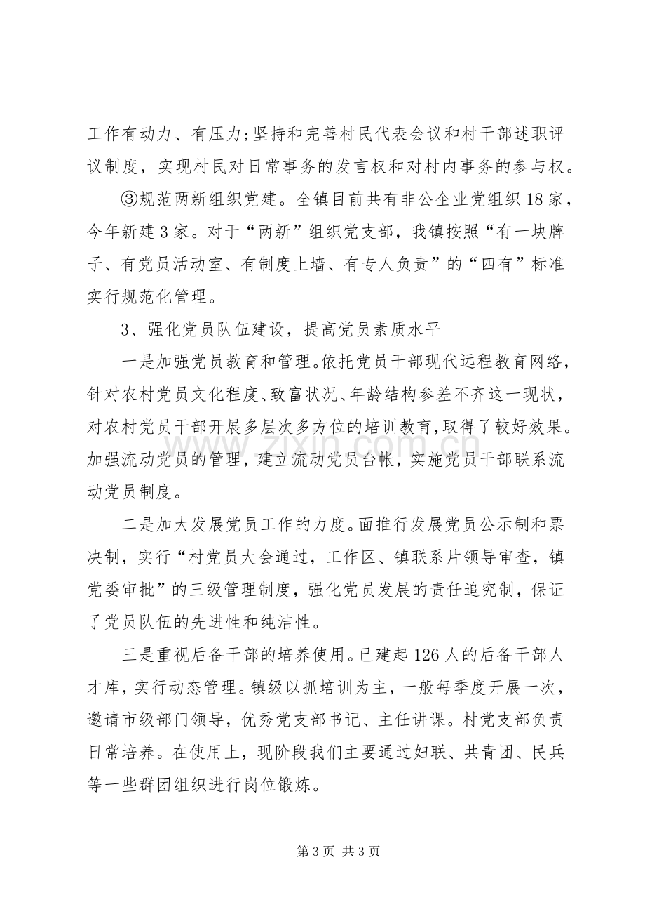 务虚会发言材料党建.docx_第3页